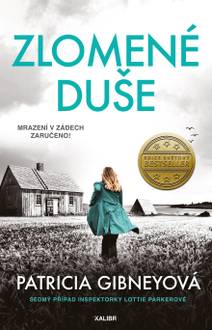 Obálka Inspektorka Lottie Parkerová 7: Zlomené duše
