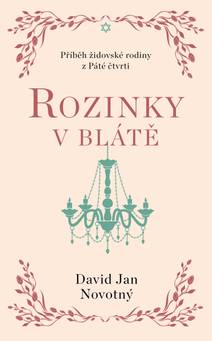 Obálka Rozinky v blátě