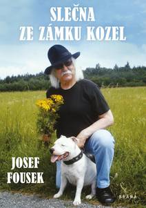 Obálka Slečna ze zámku Kozel