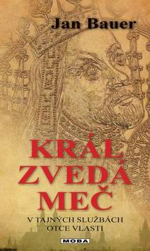 Obálka Král zvedá meč