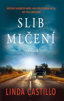 Obálka Slib mlčení