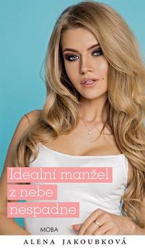 Obálka Ideální manžel z nebe nespadne