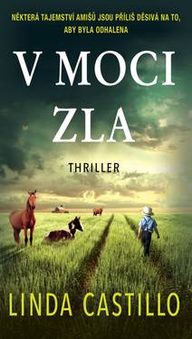 Obálka V moci zla