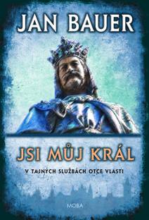 Obálka Jsi můj král