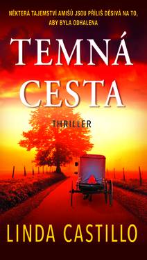 Obálka Temná cesta