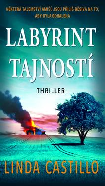 Obálka Labyrint tajností