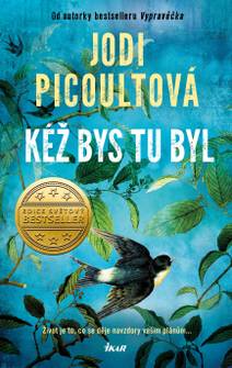 Obálka Kéž bys tu byl