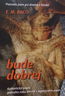 Obálka Bude dobrej