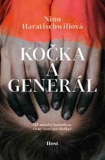Obálka Kočka a Generál