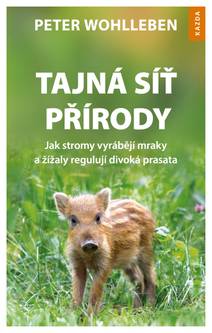 Obálka Tajná síť přírody