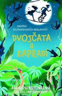 Obálka Dvojčata a kapradí