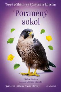 Obálka Nové příběhy se šťastným koncem – Poraněný sokol