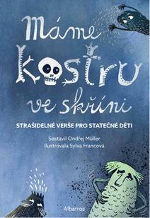 Obálka Máme kostru ve skříni