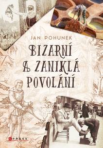 Obálka Bizarní a zaniklá povolání