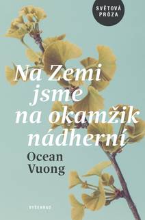 Obálka Na Zemi jsme na okamžik nádherní