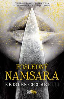 Obálka Posledný Namsara