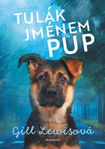 Obálka Tulák jménem Pup