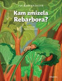 Obálka Kam zmizela Rebarbora?