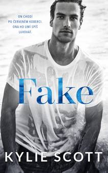 Obálka Fake