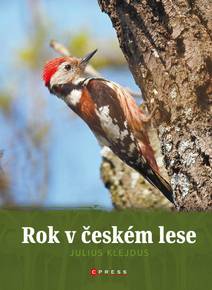 Obálka Rok v českém lese
