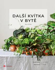 Obálka Další kvítka v bytě: Ruce od hlíny