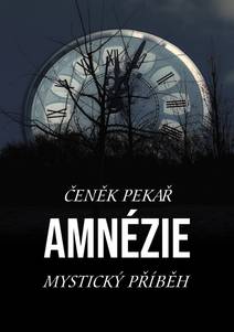 Obálka Amnézie