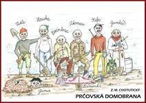 Obálka Prčovská domobrana