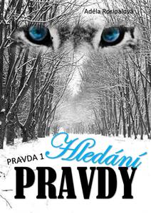 Obálka Hledání pravdy