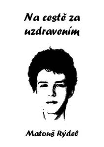 Obálka Na cestě za uzdravením