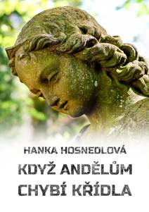Obálka Když andělům chybí křídla