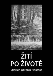 Obálka Žití po životě