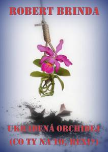 Obálka Ukradená orchidej