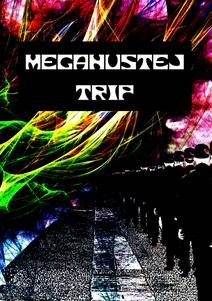 Obálka Megahustej trip