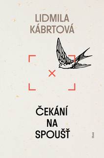 Obálka Čekání na spoušť