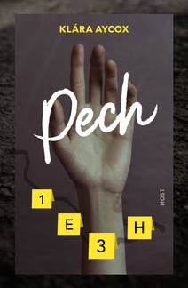 Obálka Pech