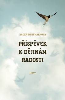 Obálka Příspěvek k dějinám radosti