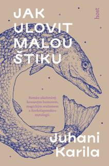 Obálka Jak ulovit malou štiku