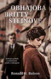 Obálka Obhajoba Britty Steinové