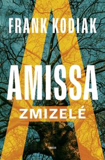 Obálka Amissa: Zmizelé