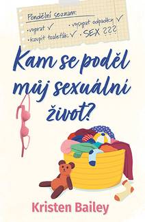 Obálka Kam se poděl můj sexuální život