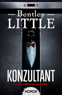 Obálka Konzultant