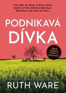 Obálka Podnikavá dívka