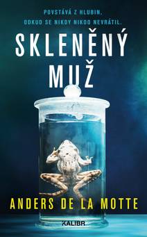 Obálka Skleněný muž