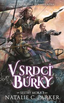 Obálka V srdci búrky