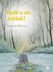 Obálka Bydlí u Vás Ježíšek?