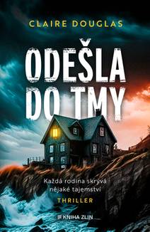 Obálka Odešla do tmy