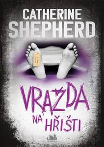 Obálka Vražda na hřišti