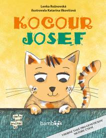 Obálka Kocour Josef