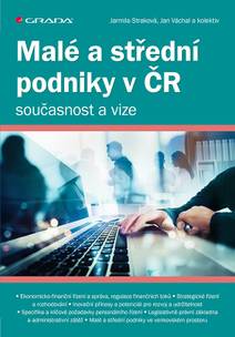 Obálka Malé a střední podniky v ČR – současnost a vize
