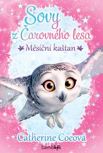 Obálka Sovy z Čarovného lesa - Měsíční kaštan